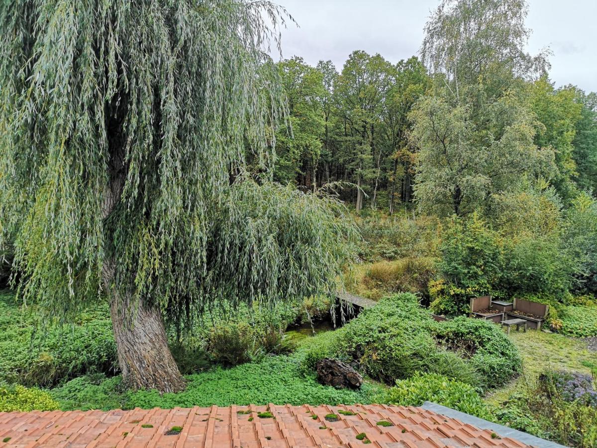 Vakantieverblijf Volmolen B&B Maaseik Esterno foto